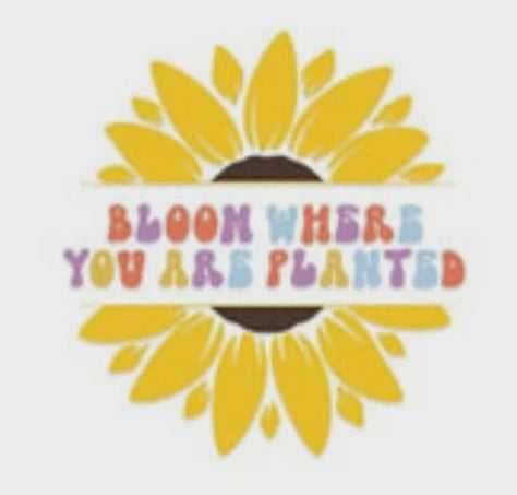 Lifestyle & Personality Decals