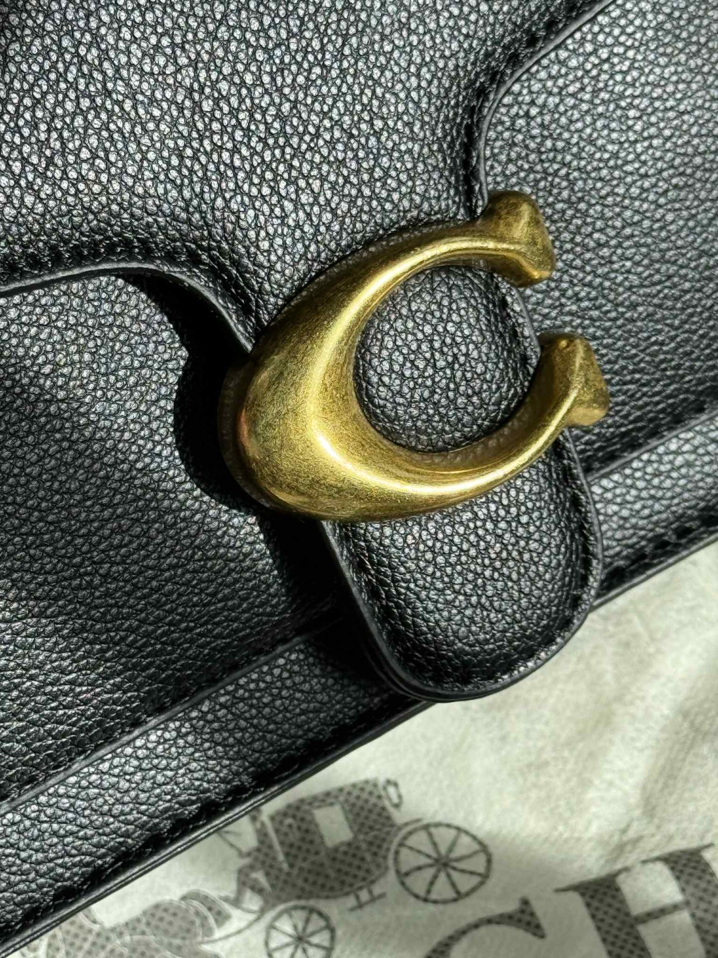 Coach Inspired Everyday Luxe Crescent Bag