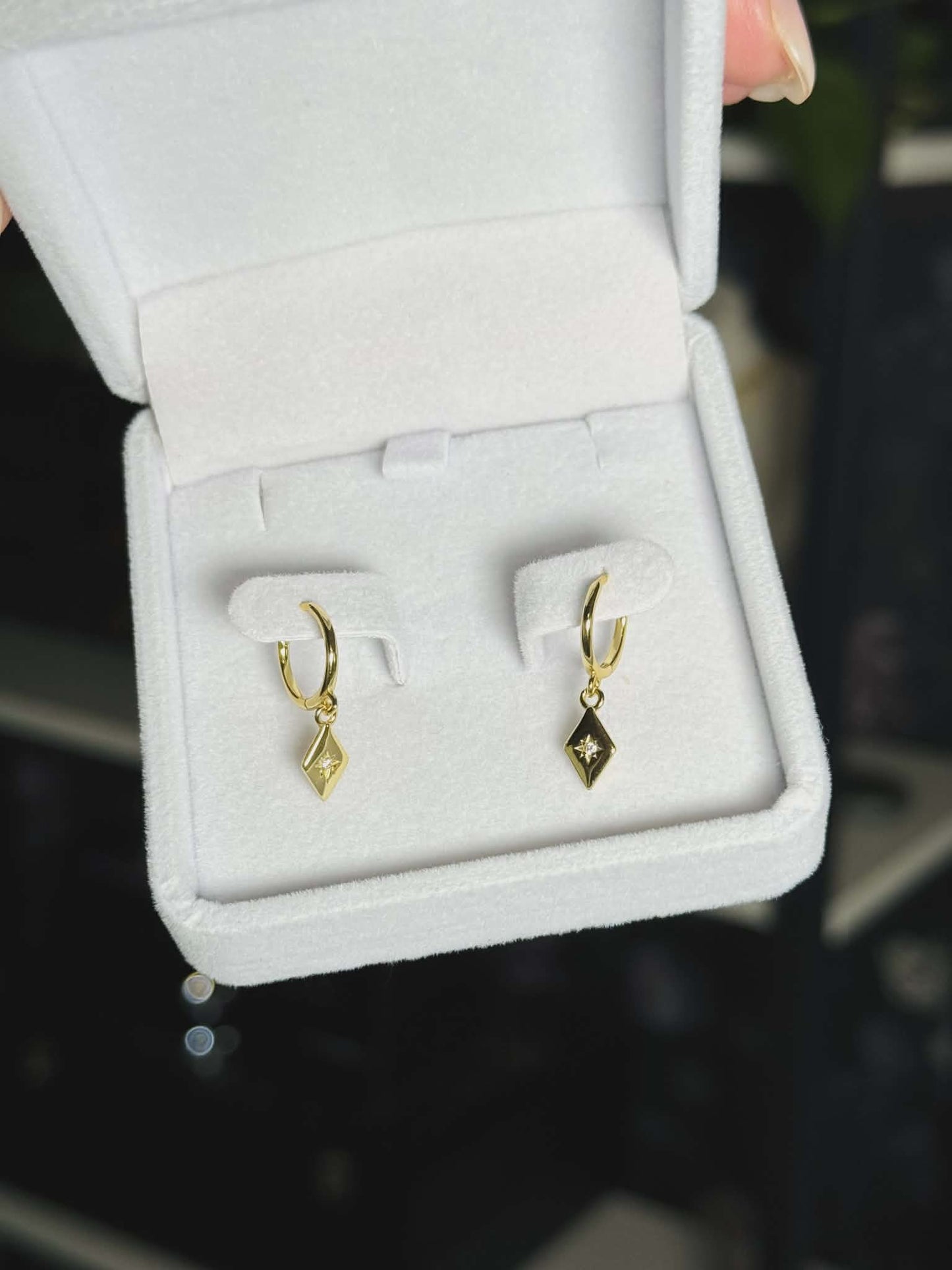 The Huggie Hoop Collective - Mystery Earring